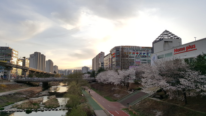 [국내여행] 의정부 부용천 벚꽃길 야경(경전철 경기도청북부청사역 앞)