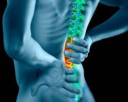 척추 통증 원인과 해결방법 간단정리