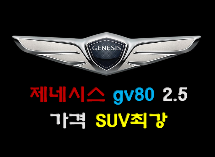 제네시스 gv80 2.5 가격 SUV최강