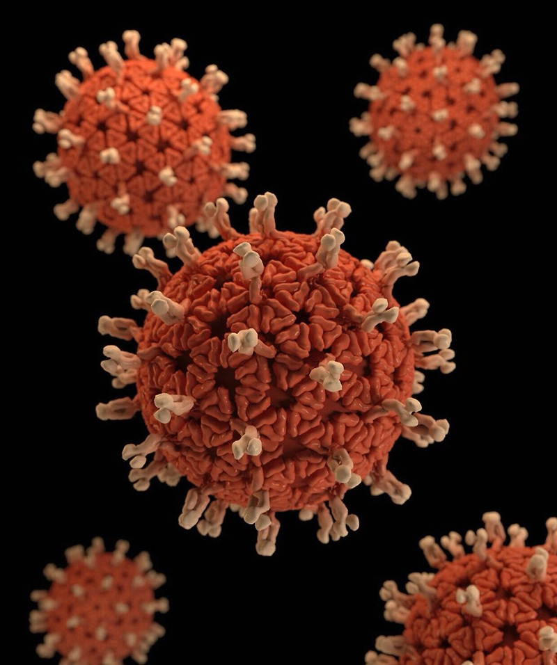 한타바이러스 예방방법 백신