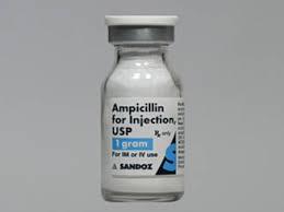 암피실린(Ampicillin)의 효능과 사용법, 부작용은?