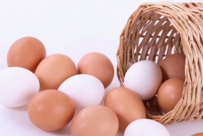 계란을 하루에 2개씩은 먹어야 하는 이유