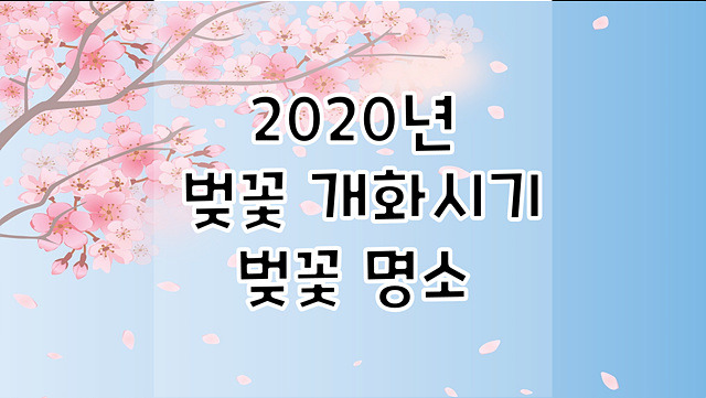 2020년 벚꽃 개화시기 및 명소