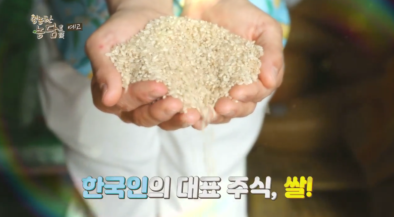 영농한 농담 농부과학자 이동현 씨의 우리 쌀로 농업의 희망을 찾다 4회