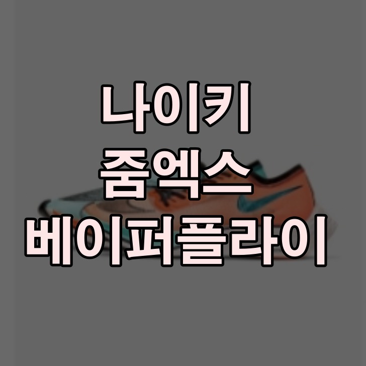 나이키 줌엑스 베이퍼플라이 킵초게 신발 가격 기능 정보