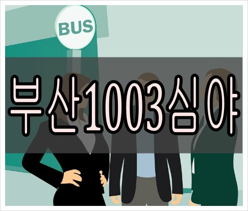 부산1003번심야버스 [최신] 시간표 노선