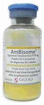암비솜(AmBisome)의 효능과 사용법, 부작용은?