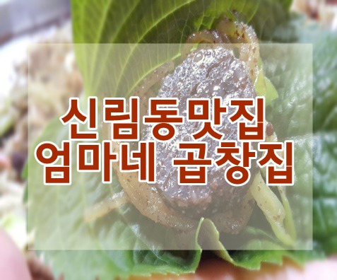 신림동맛집 엄마네 곱창집