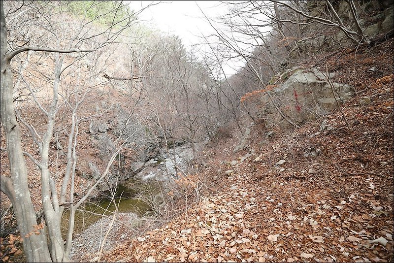 영양기도터 폭포수 기도터 안동점집 도연산당 기도 다녀오다