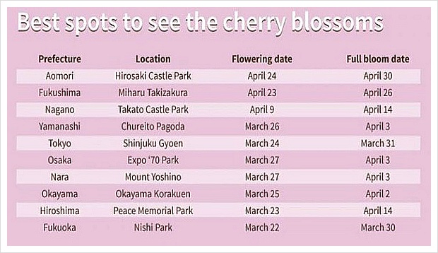 오사카 3월 날씨 옷차림 과 전체기후, 벚꽃 태풍 정보