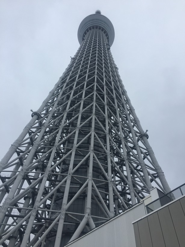 도쿄 하늘 보기 - 도쿄타워, 스카이트리, 도쿄도청 (일본여행 2)