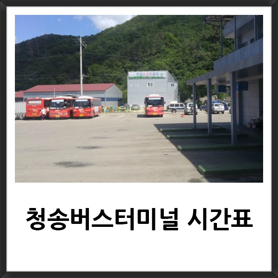 청송버스터미널 시간표 요금, 시외 고속 신규 최신