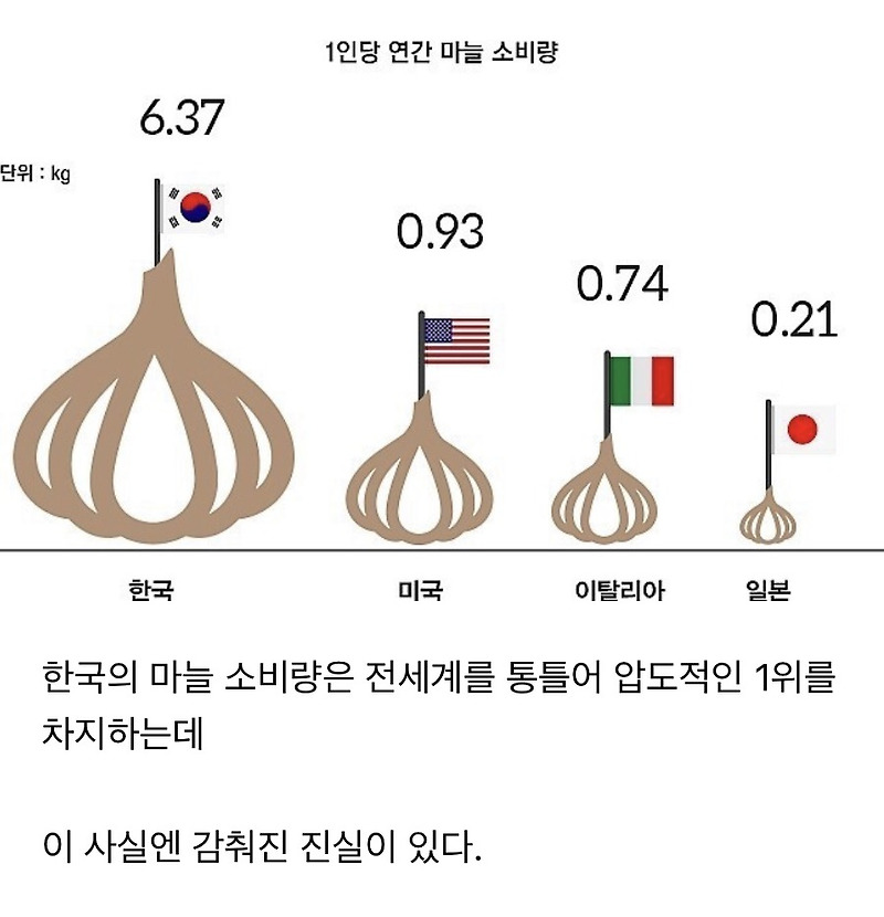 한국 마늘소비의 진실