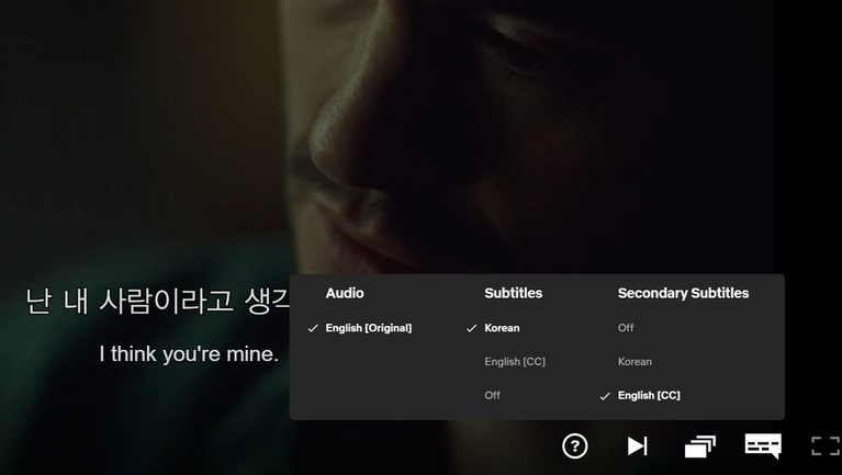 [국제연아이] 넷플릭스 볼때 러시아어 영어 한국어 외국어 자막 2개 띄우는 방법