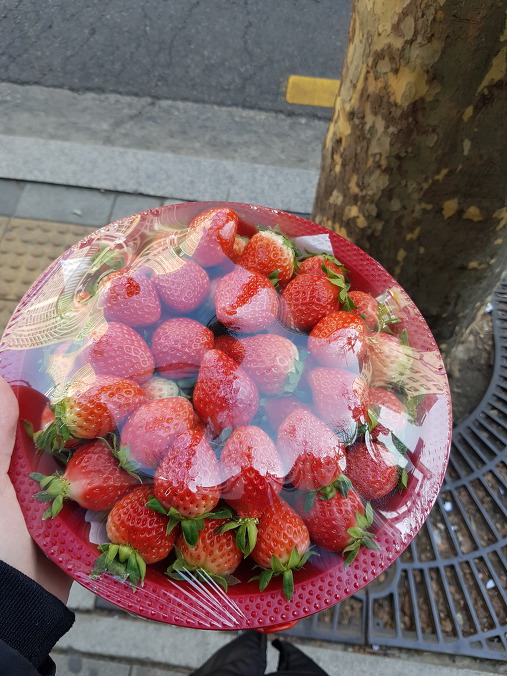 딸기가 제철이라서 한 바구니 구매
