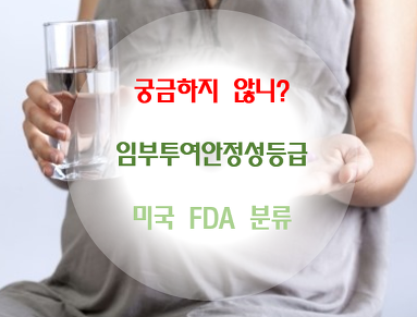 임부투여안정성 등급 (FDA 분류)