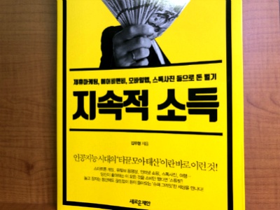지속적 소득 / 김우현