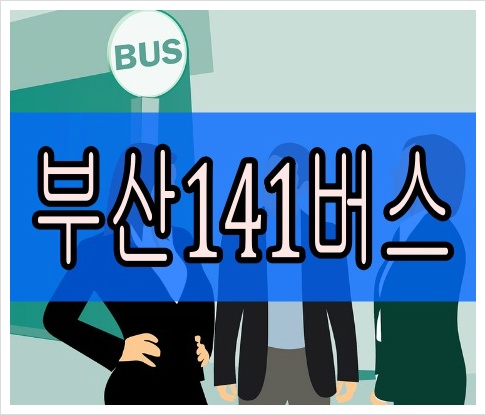 부산141번버스 최신 시간표 실시간 노선