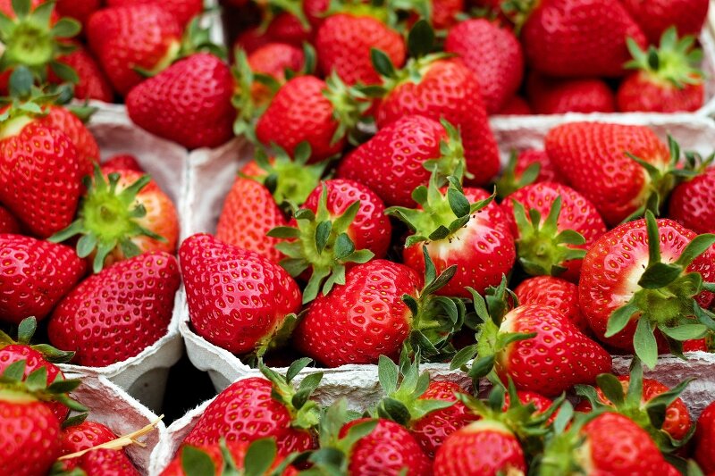 딸기의 효능과 맛있는 딸기 고르는 방법!!