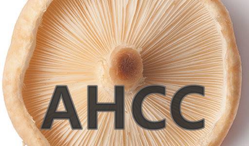 AHCC 효능 치료 후 면역 증강