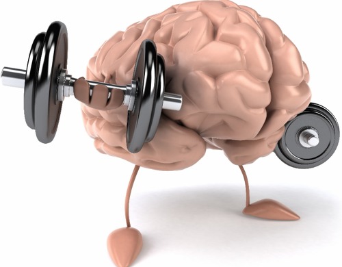 뇌건강에 좋은 10가지 방법