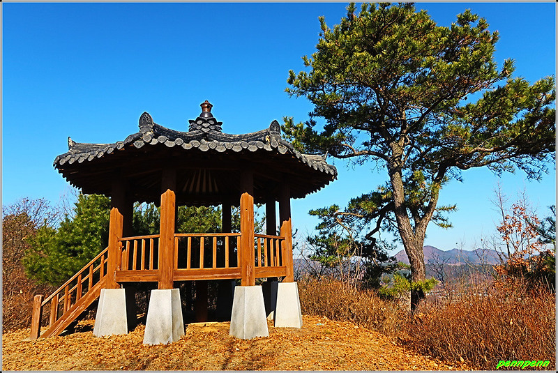 기러기 날아가는 형상이라는 부여 비홍산·용주봉