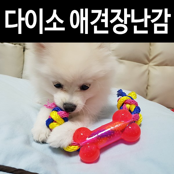 다이소 강아지장난감: 폼피츠 송이 이갈이용! 가성비 짱!