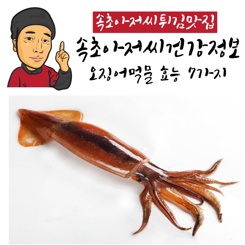 [속초아저씨의건강정보] 오징어먹물 봅시다