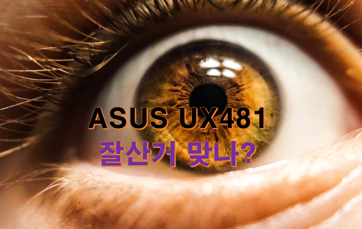 ASUS UX481 젠북 듀오 구매 동기 후기