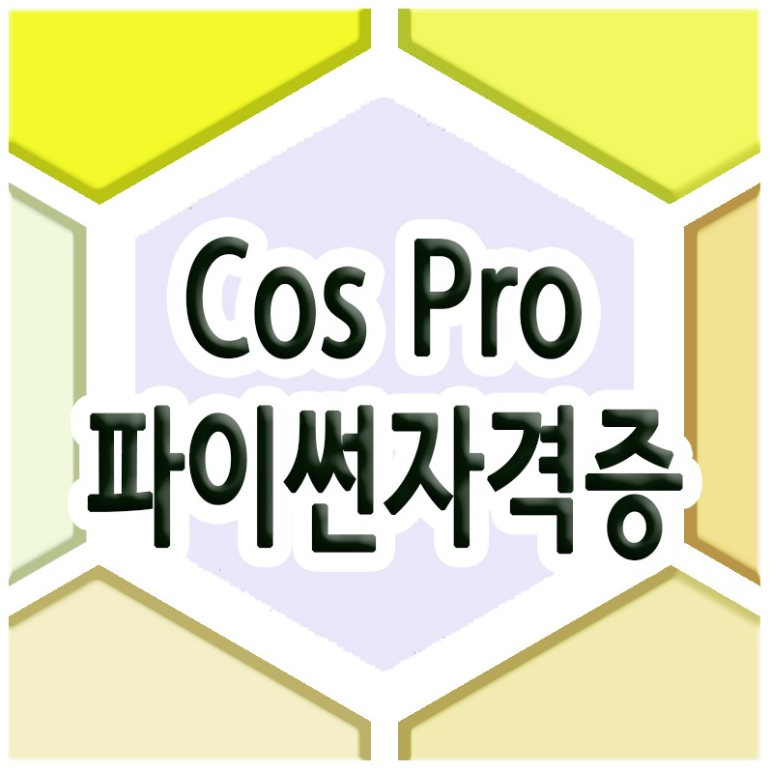파이썬자격증, Cos Pro  대박