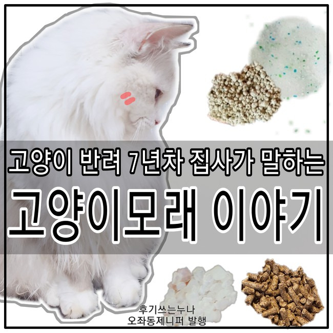 7년차 집사가 말하는 고양이모래 비교와 후기