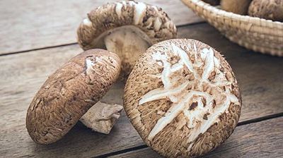 [건강식품] 표고버섯의 효능과 부작용