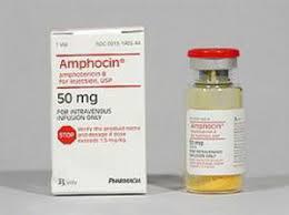 암포신(Amphocin)의 효능과 사용법, 부작용은?