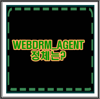 WEBDRM_AGENT 정체는?