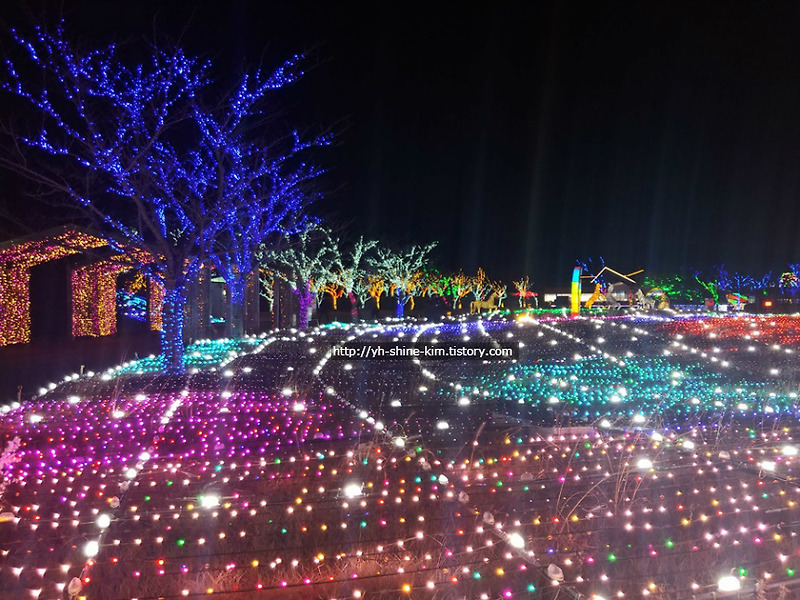 부산 강서구 가볼만한곳: 국내 최대 빛 테마파크 “일루미아 빛축제”