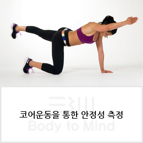 코어운동(core exercise)을 통한 안정성(stability) 측정