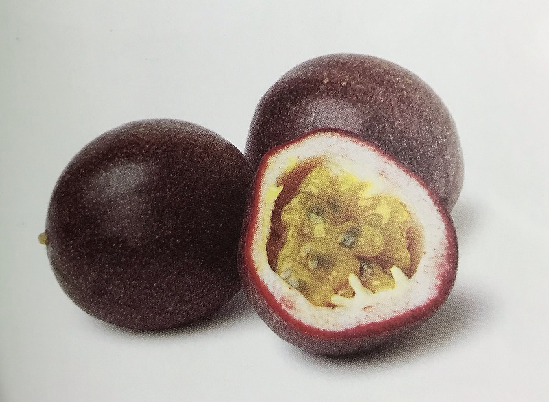 [패션푸르트]Passion Fruit