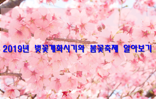 2019년 벚꽃 개화시기와 봄꽃 축제 알아보기