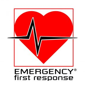 EFR 응급처치 자격증 소개, CPR 교육, 국제 자격증 ~처럼