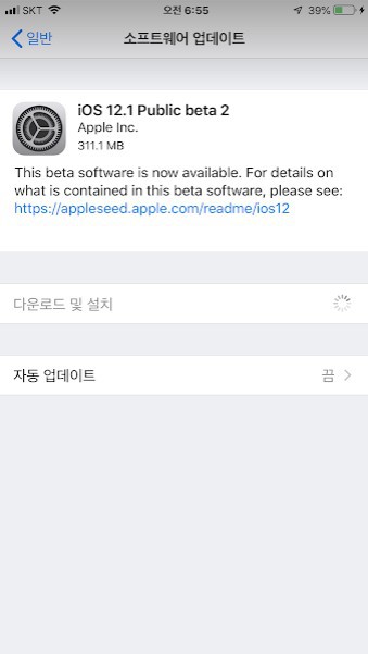 iOS 12.1 Beta 2 업데이트