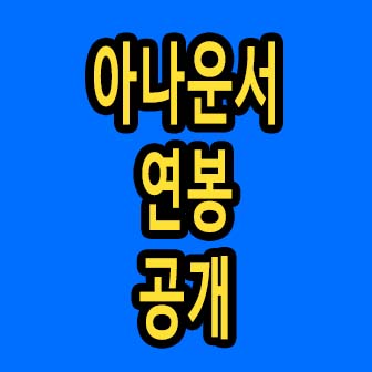 아나운서 연봉 공개