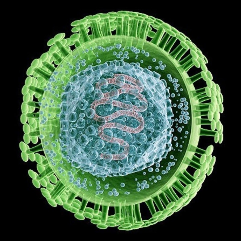 비뇨기질환 완전정복10장- 여자와 남자의 헤르페스2형 바이러스사진(herpes simplex virus)과 치료