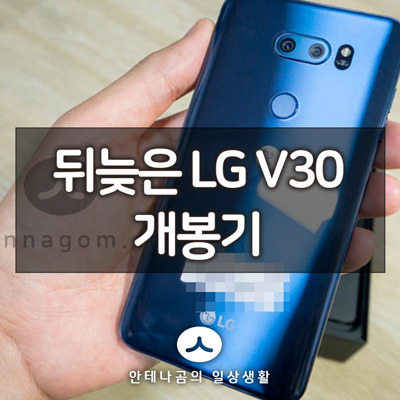 뒤늦은 LG V30 블루 색상 개봉기