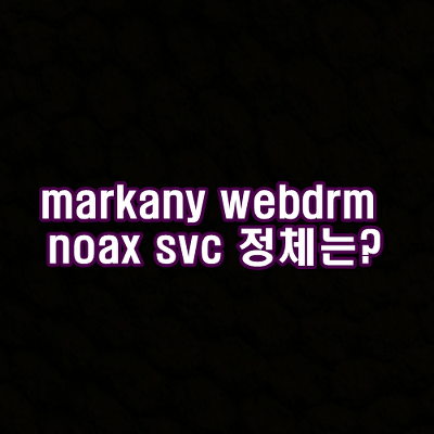 markany webdrm noax svc 정체는