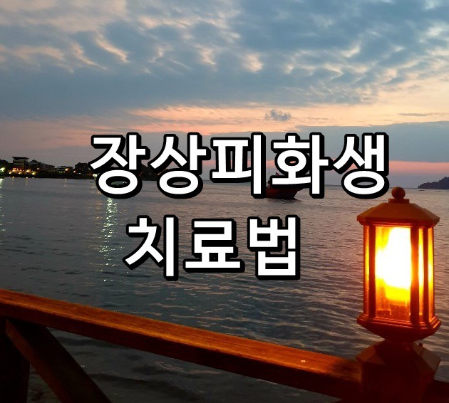 장상피화생 치료법 대공개~~~!!