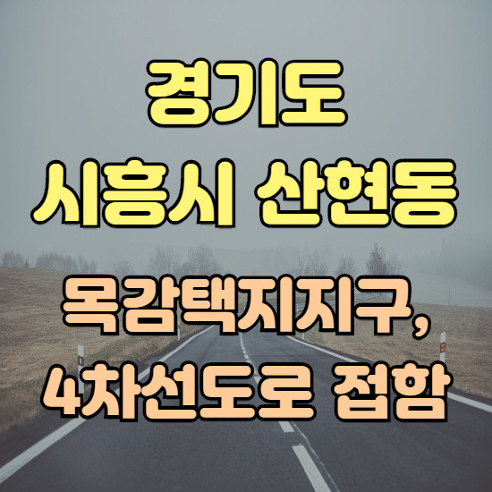 경기도 시흥시 산현동 목감택지구, 4차선 도로변 토지매물