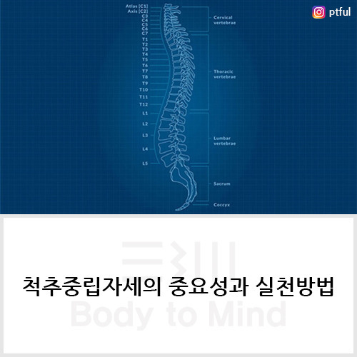 척추중립자세(spine neutral position)의 중요성과 실천방법