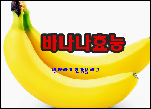 바나나효능