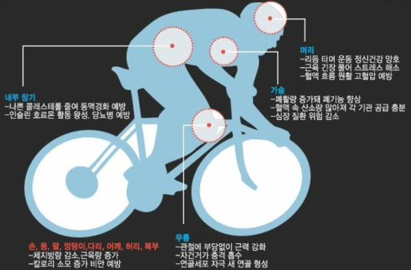 자전거 운동효과 :: 다이어트로는 짱인듯 하네요