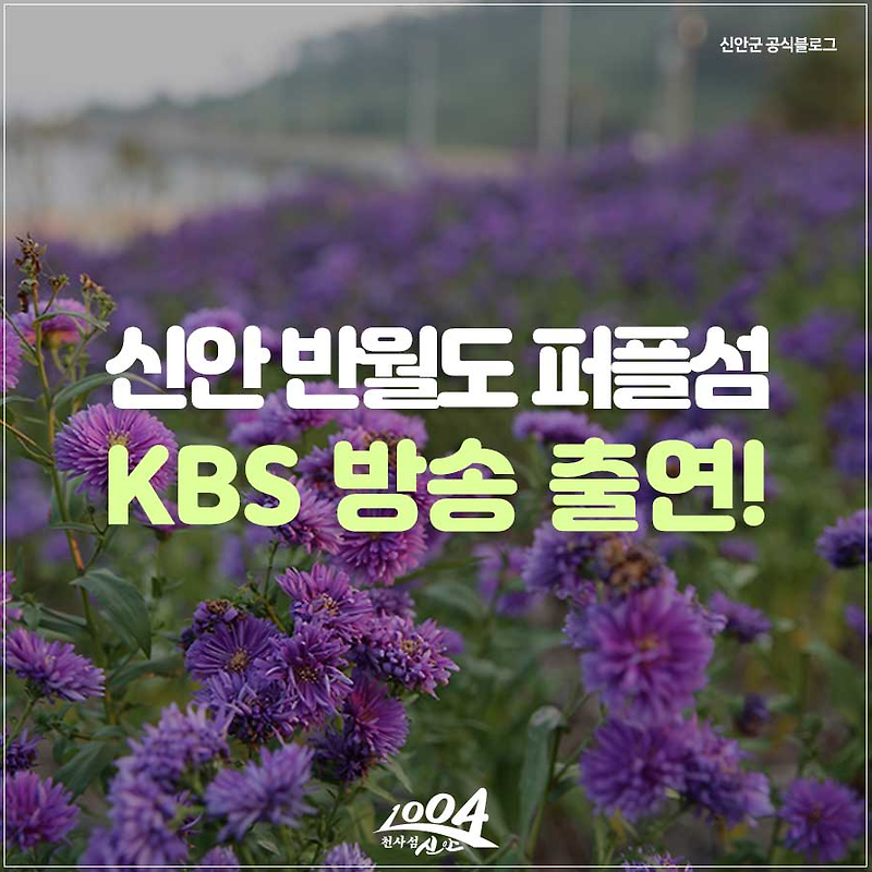 반월도, KBS 하나TV '김영철의 동네 한바퀴' 출연 :: 보랏빛 촌락을 만나다! !!